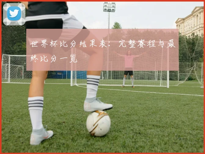 世界杯比分结果表：完整赛程与最终比分一览