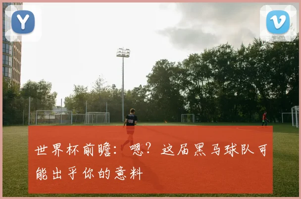 世界杯前瞻:嗯?这届黑马球队可能出乎你的意料