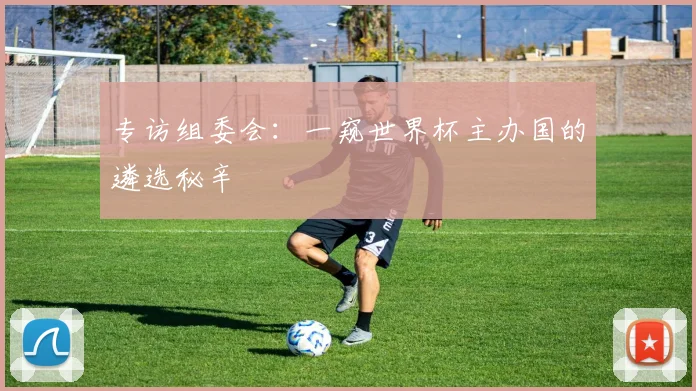 专访组委会：一窥世界杯主办国的遴选秘辛