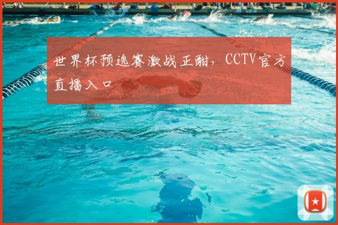 世界杯预选赛激战正酣，CCTV官方直播入口