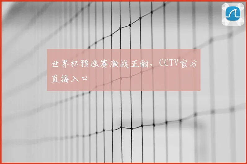 世界杯预选赛激战正酣，CCTV官方直播入口